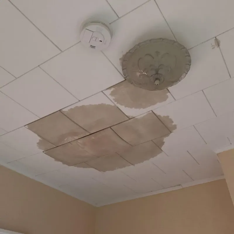 Ceiling Water Damage Repair in Mellwood, MD