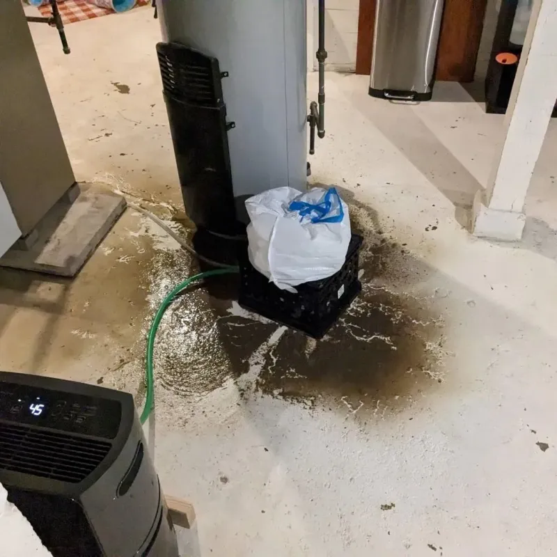 Sewage Backup Cleanup Service in Mellwood, MD